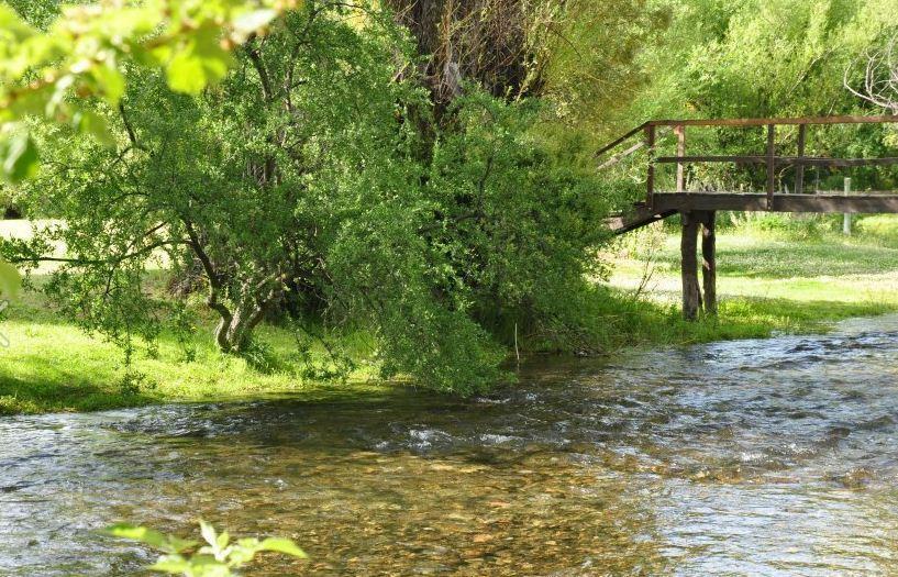 Chimehuin Junín de los Andes