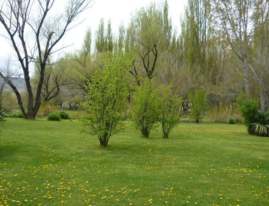 Inn Chimehuin Junín de los Andes